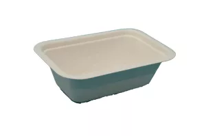 Barquette BIO pulpe Gourmet (3) 650ml (190x130x60)